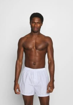 Pier One 5 Pack - Boxershort - Light Blue/White 12 Pier One 5 Pack - Boxershort - Light Blue/White -Mode Herenkleding Winkel 139342f1516744e4937742c5f01eeccb